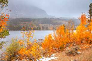 Rock Creek Lake Fall color-8714 Rock Creek Lake Fall color-8714